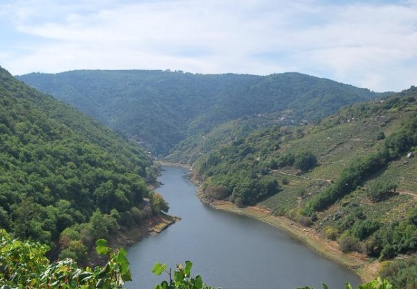 Imagen de cabecera de Continuar el legado familiar de la elaboración del vino