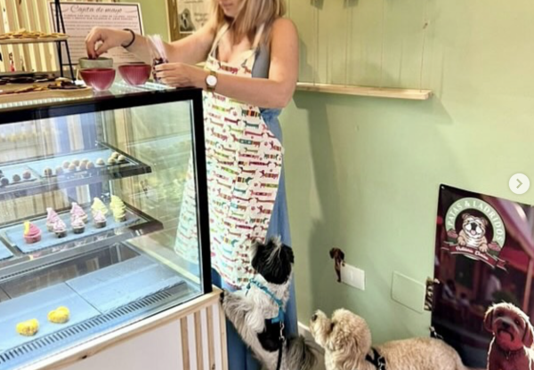 Imagen de cabecera de Patas & Ladridos: una máquina para seguir creando galletas naturales para perros