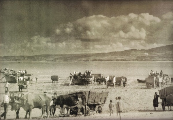 Ecomuseo a flote's header image