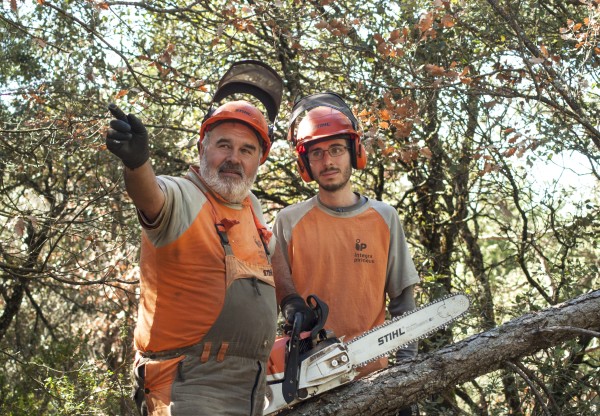 Imagen de cabecera de Donem vida al bosc