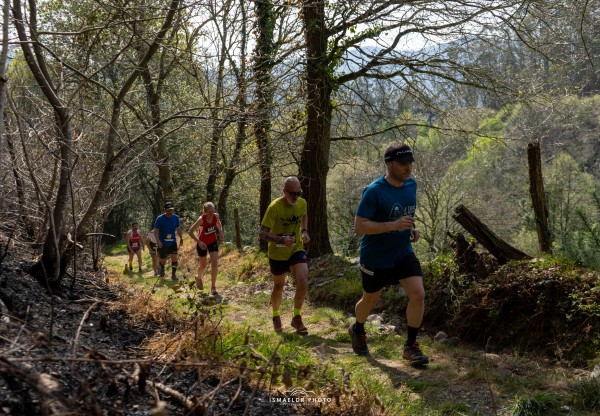 Imagen de cabecera de Reforesta el Trail del Tamburieḷḷo