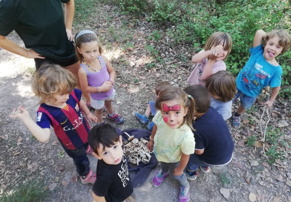 Imagen de cabecera de Escola del Bosc