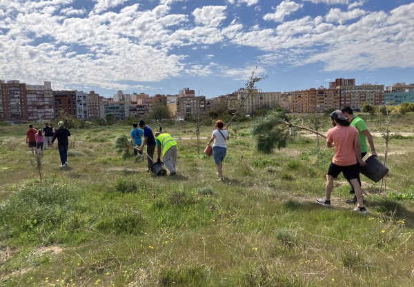 Imagen de cabecera de Bosque Urbano Málaga