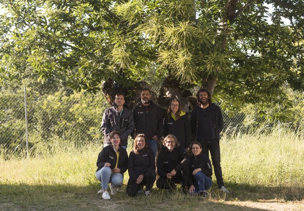 Imagen de cabecera de Apoia a unha cooperativa Ourense para continuar recuperando soutos centenarios