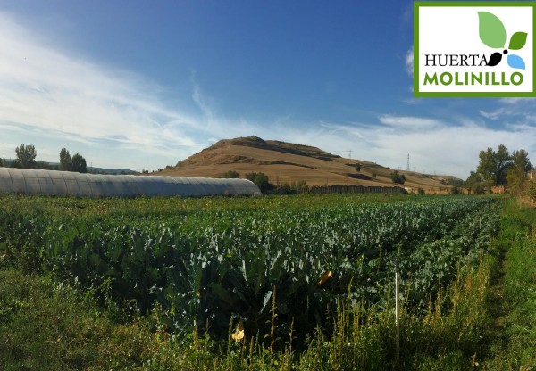 Imagen de cabecera de HUERTA EN RABÉ DE LAS CALZADAS (BURGOS)