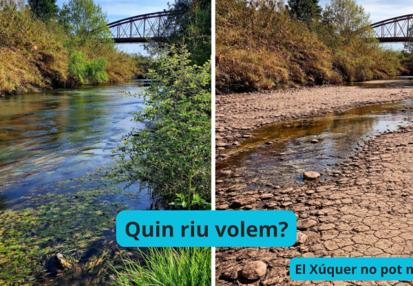 Imagen de cabecera de Defensem el Xúquer!  No a l'espoli del Xúquer i l'Albufera!