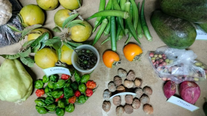 agroecology-cuba6.jpg