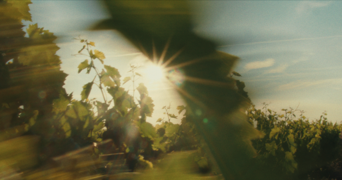 captura-de-pantalla-2026-05-24-a-las-9.23.00.png