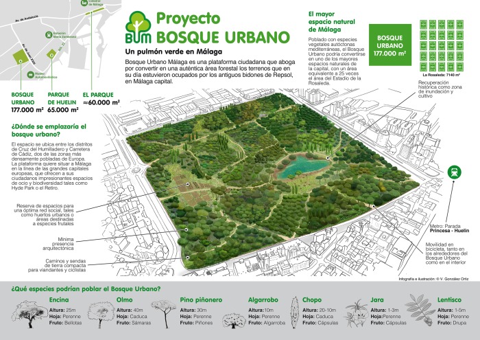 infografia-bum-portada-web-1.jpg