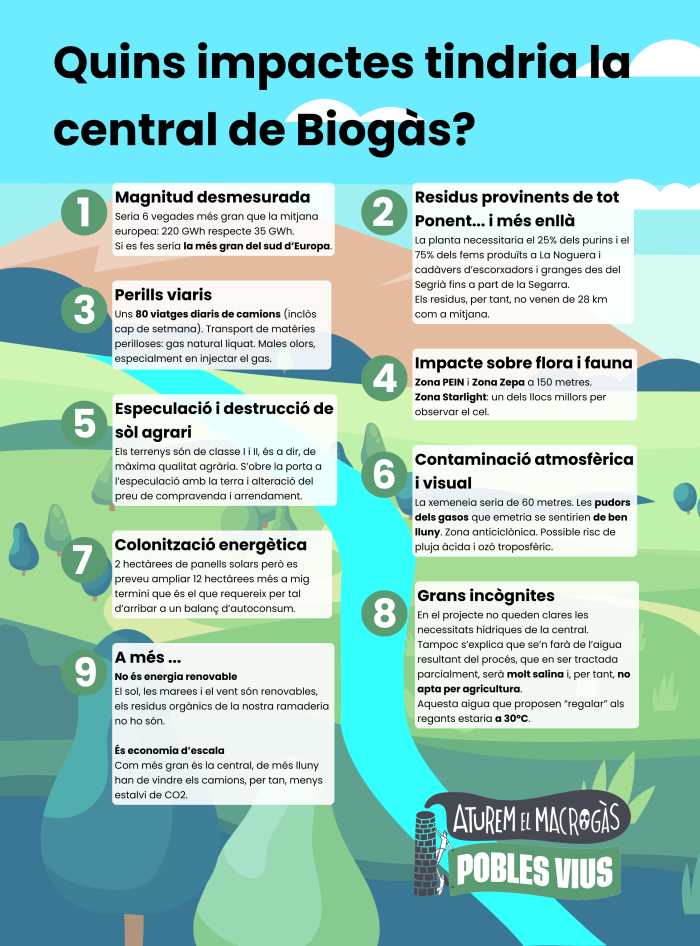 infografia-octaveta.png