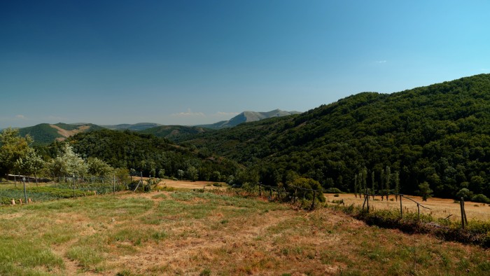 paisaje2-copia.jpg