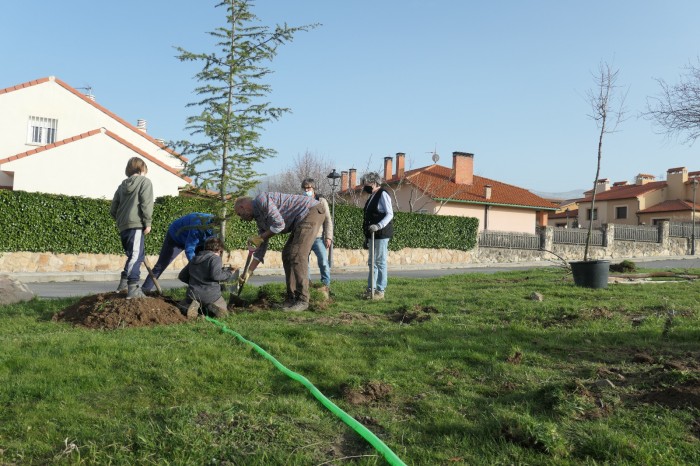 plantacion-c-rancho-2.jpeg