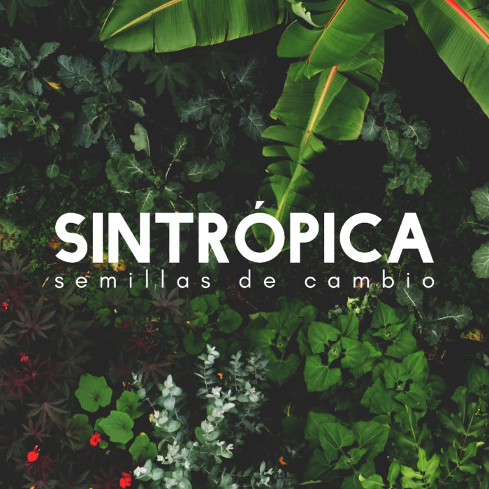 avatar-sintropica-1x1.jpg