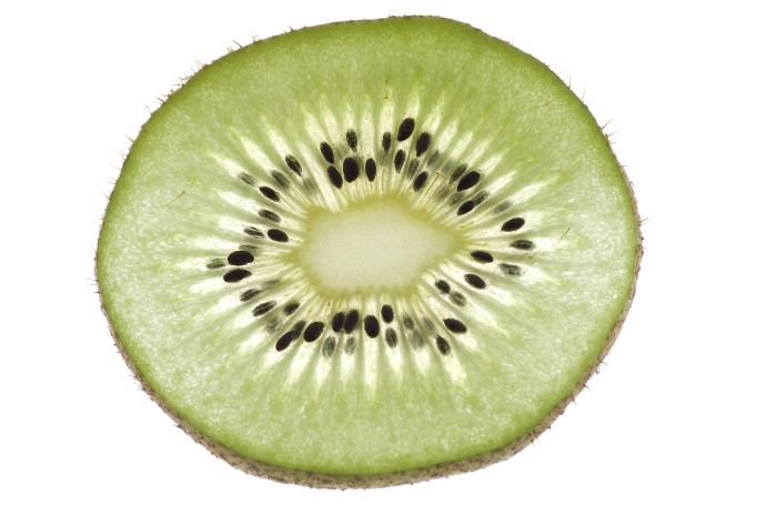 fotokiwi.jpg