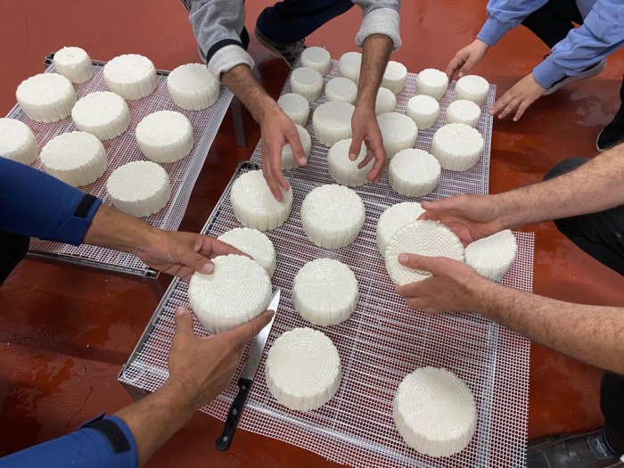 Se necesitan muchas manos para hacer un queso