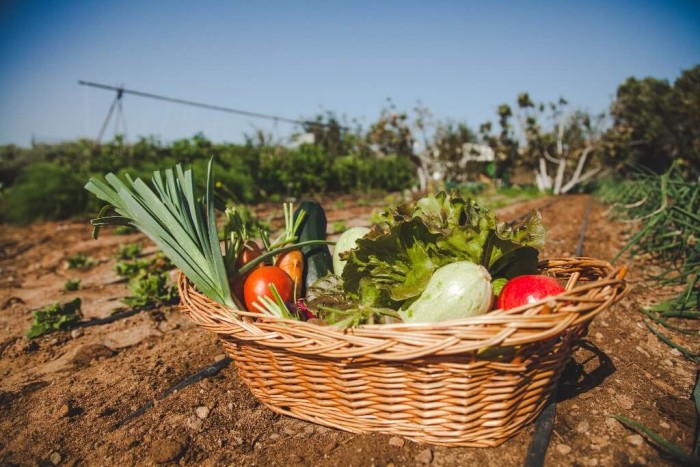 Cestas ecológicas de productos de huerta locales