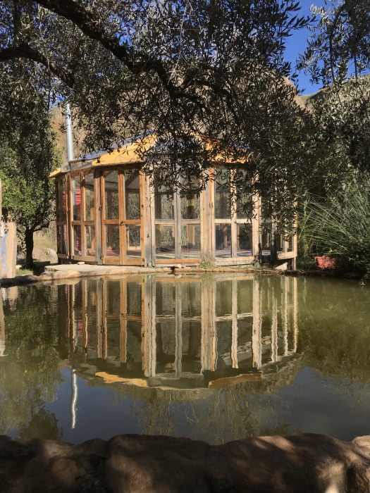 signal-2026-07-04-22-40-08-660-9.jpg